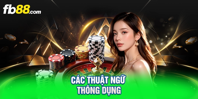 Các thuật ngữ thông dụng
