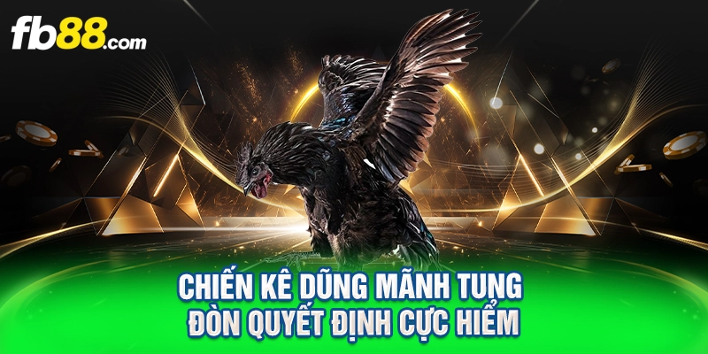 Chiến kê dũng mãnh tung đòn quyết định cực hiểm
