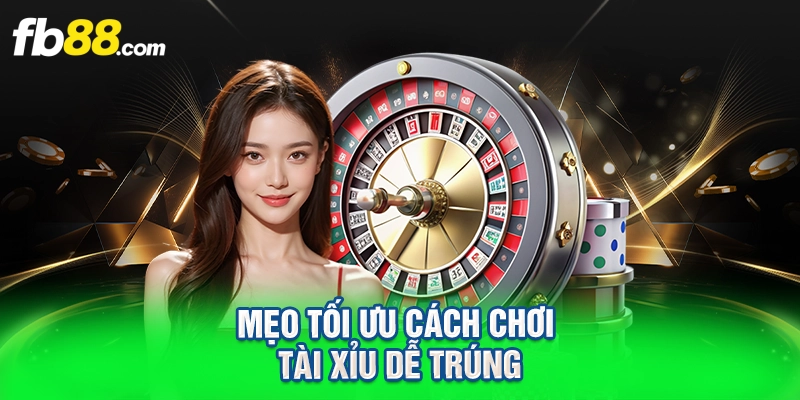 Mẹo tối ưu cách chơi tài xỉu dễ trúng