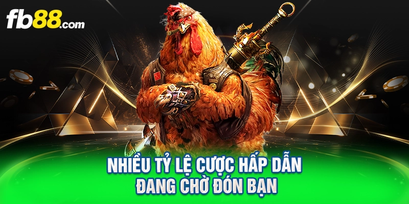 Nhiều tỷ lệ cược hấp dẫn đang chờ đón bạn
