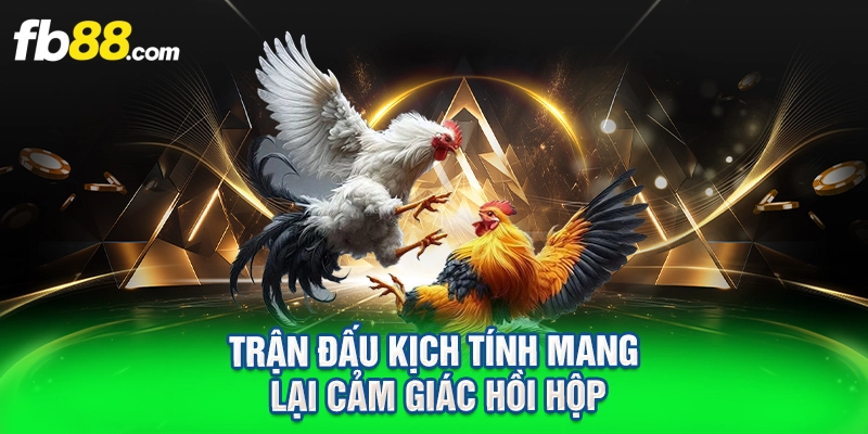 Trận đấu kịch tính mang lại cảm giác hồi hộp