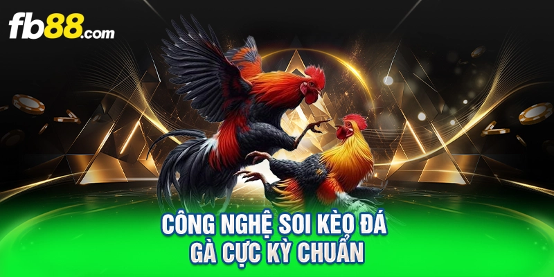 công nghệ soi kèo đá gà cực kỳ chuẩn