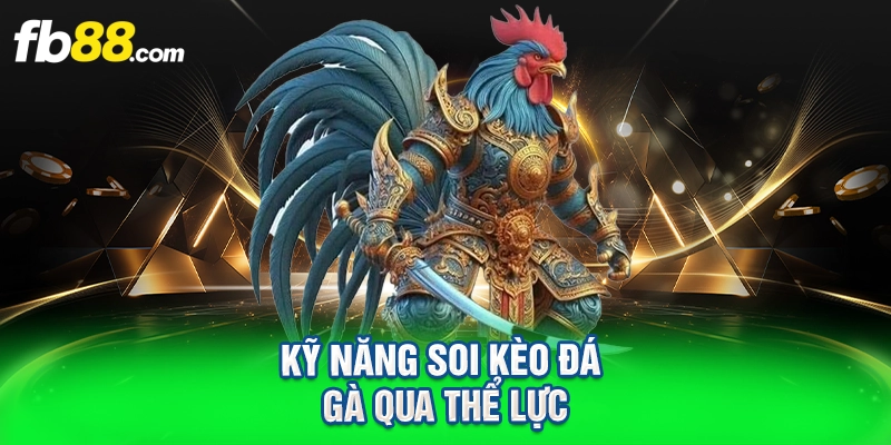 kỹ năng soi kèo đá gà qua thể lực