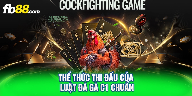 thể thức thi đấu của luật đá gà C1 chuẩn