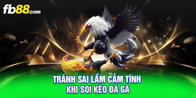 tránh sai lầm cảm tính khi soi kèo đá gà